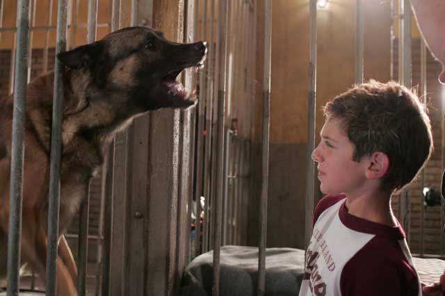 DESPERATION le TVfilm Boy_w_dog